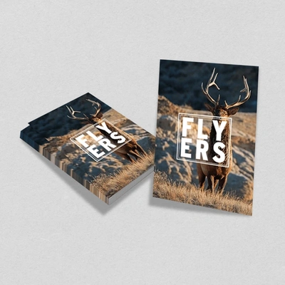  Leaflets2