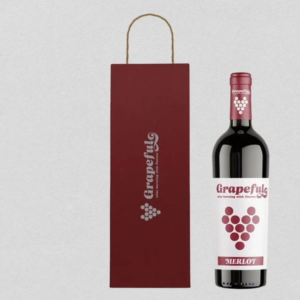  Bottle Bag 3