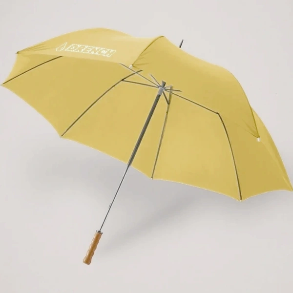  Umbrella 1
