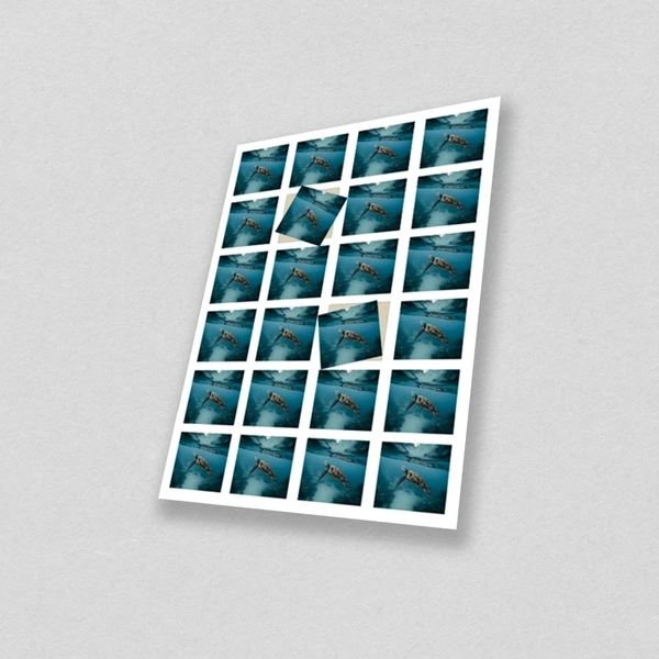  Sticker On Sheet 3